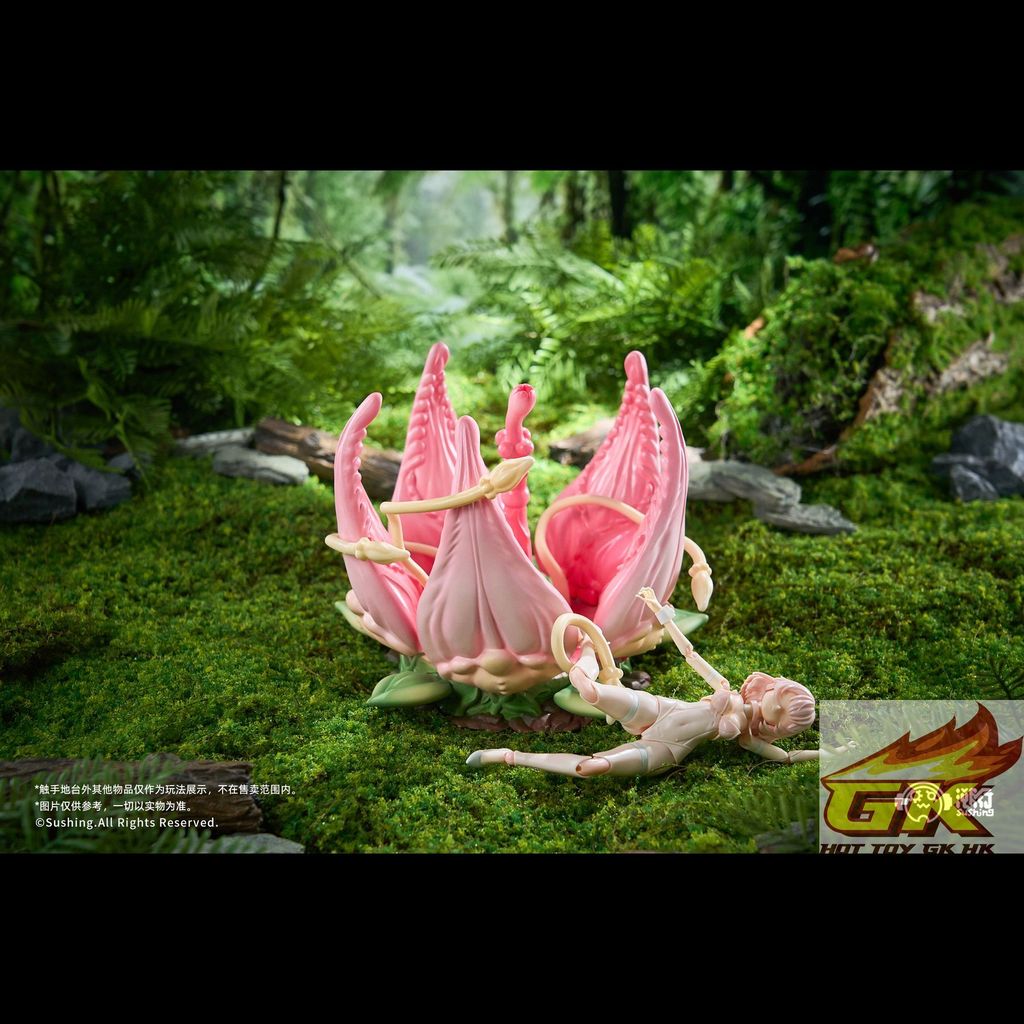 c标图6_結果