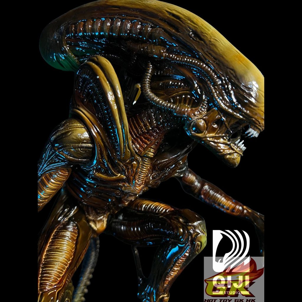 圖片_20260511050850_5_3553_結果