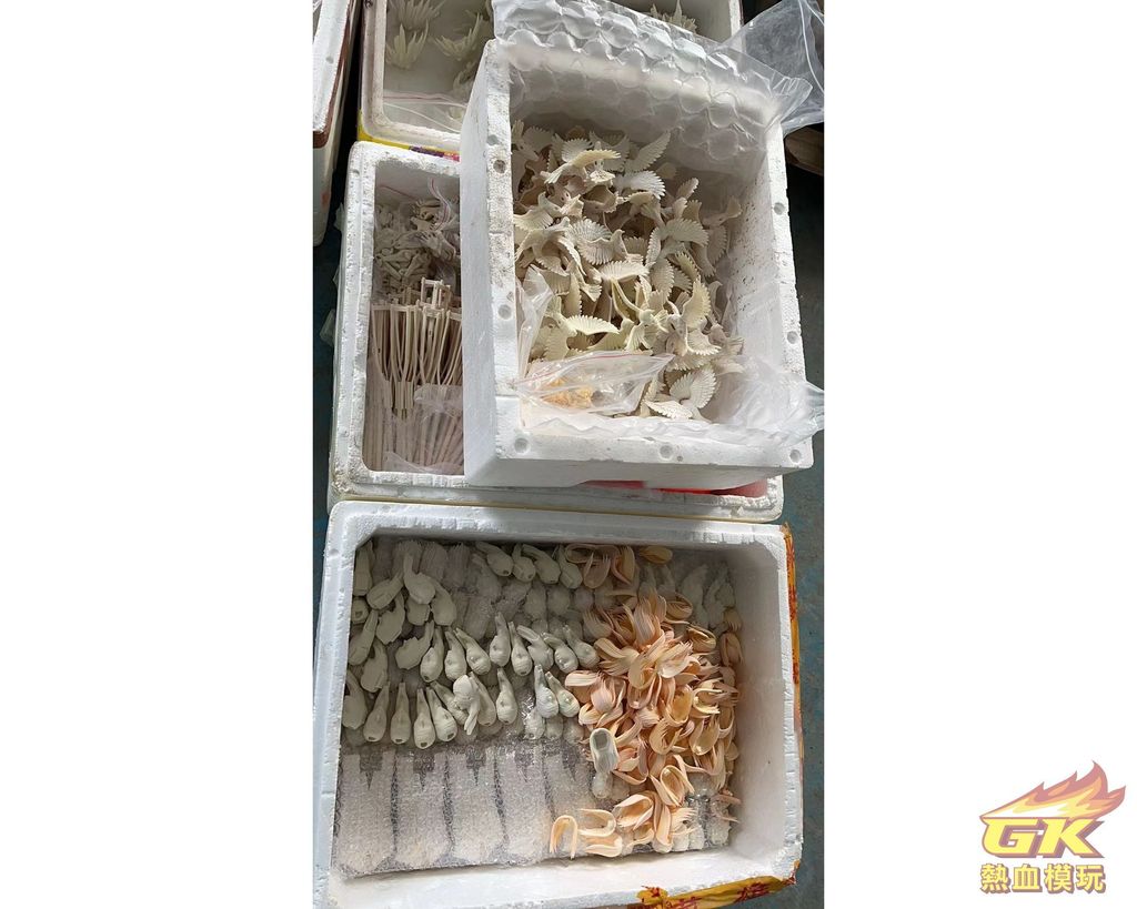 圖片_20230606230254