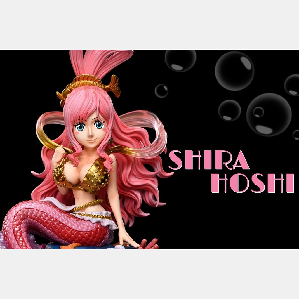 圖片_20241118210822