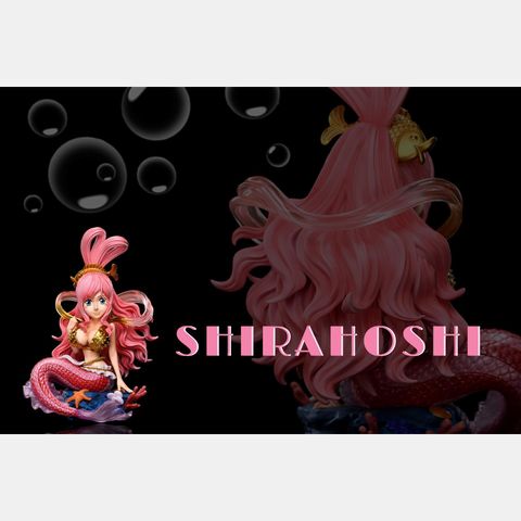 圖片_20241118210808