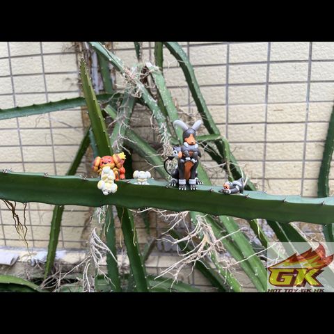 圖片_20250520134320_結果