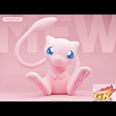 圖片_20250717110524_結果