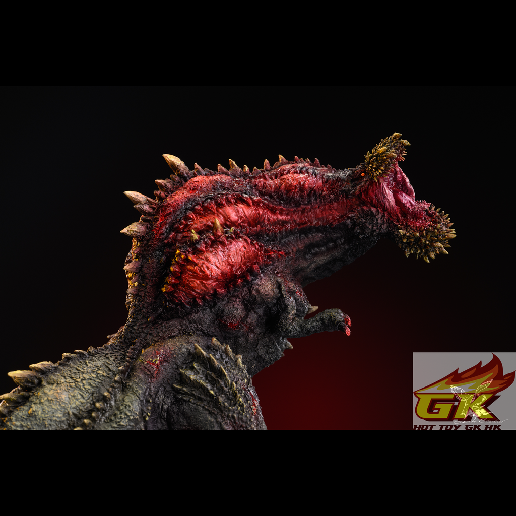 圖片_20250725113027_結果