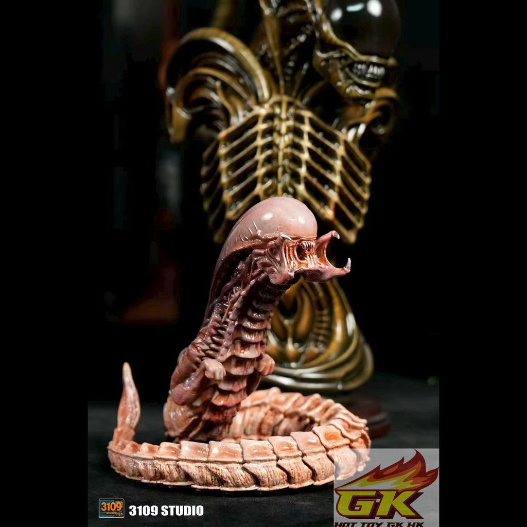 WechatIMG12811_結果