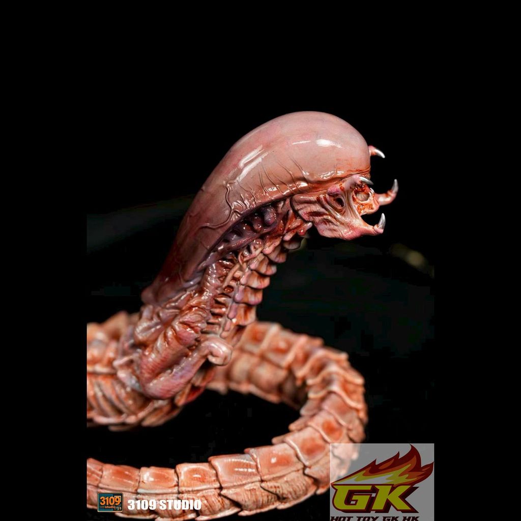 WechatIMG12611_結果