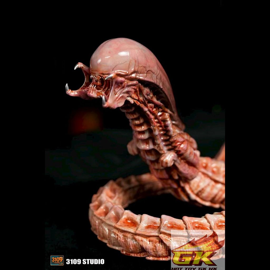 WechatIMG12411_結果