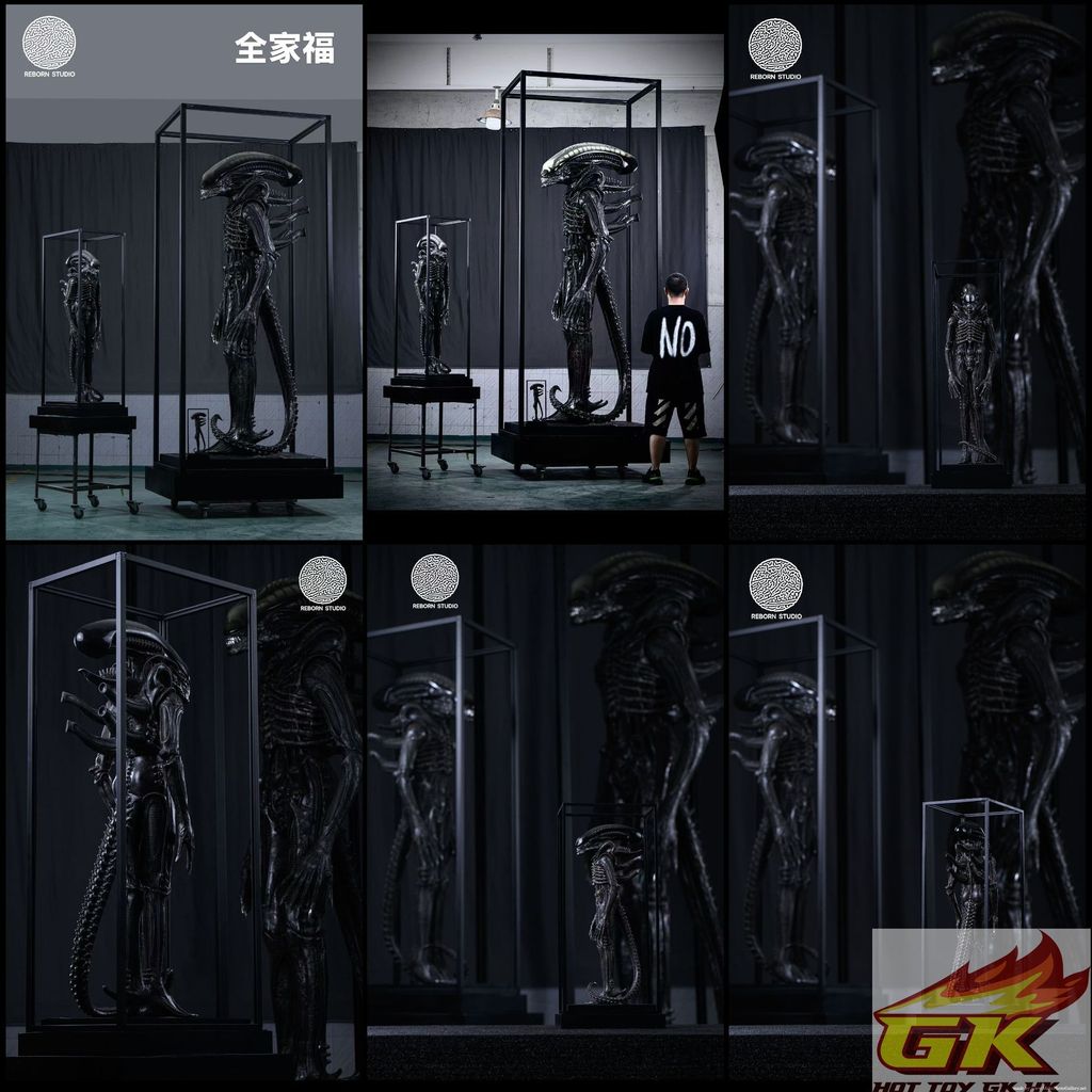 download copy_結果