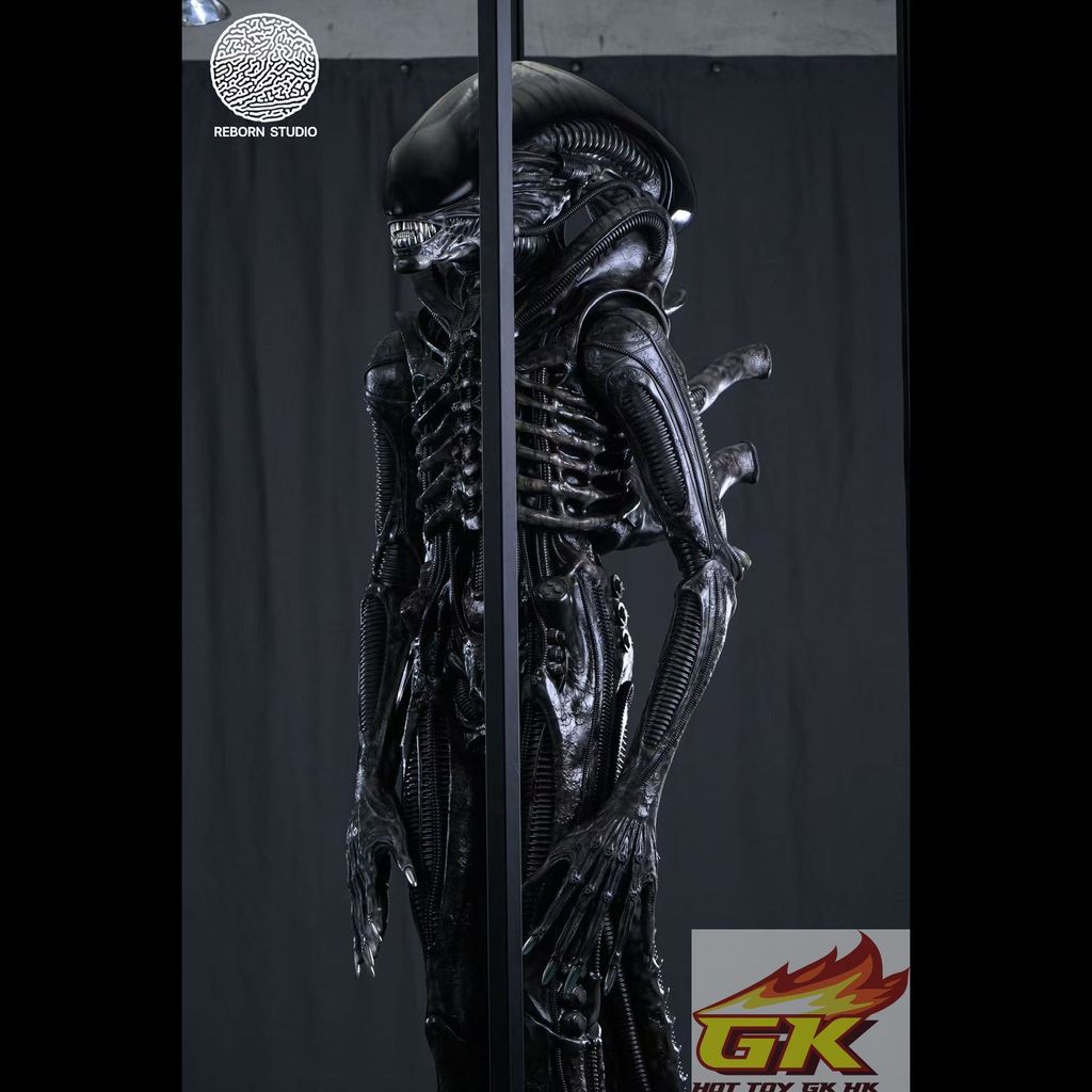 圖片_20251110040824_8_1753_結果