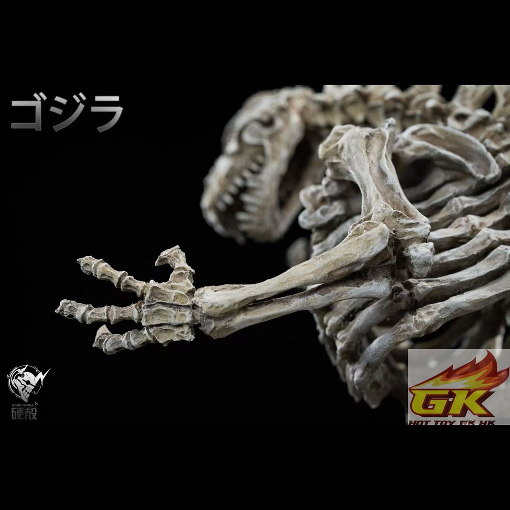 圖片_20251120114246_39_1602_結果