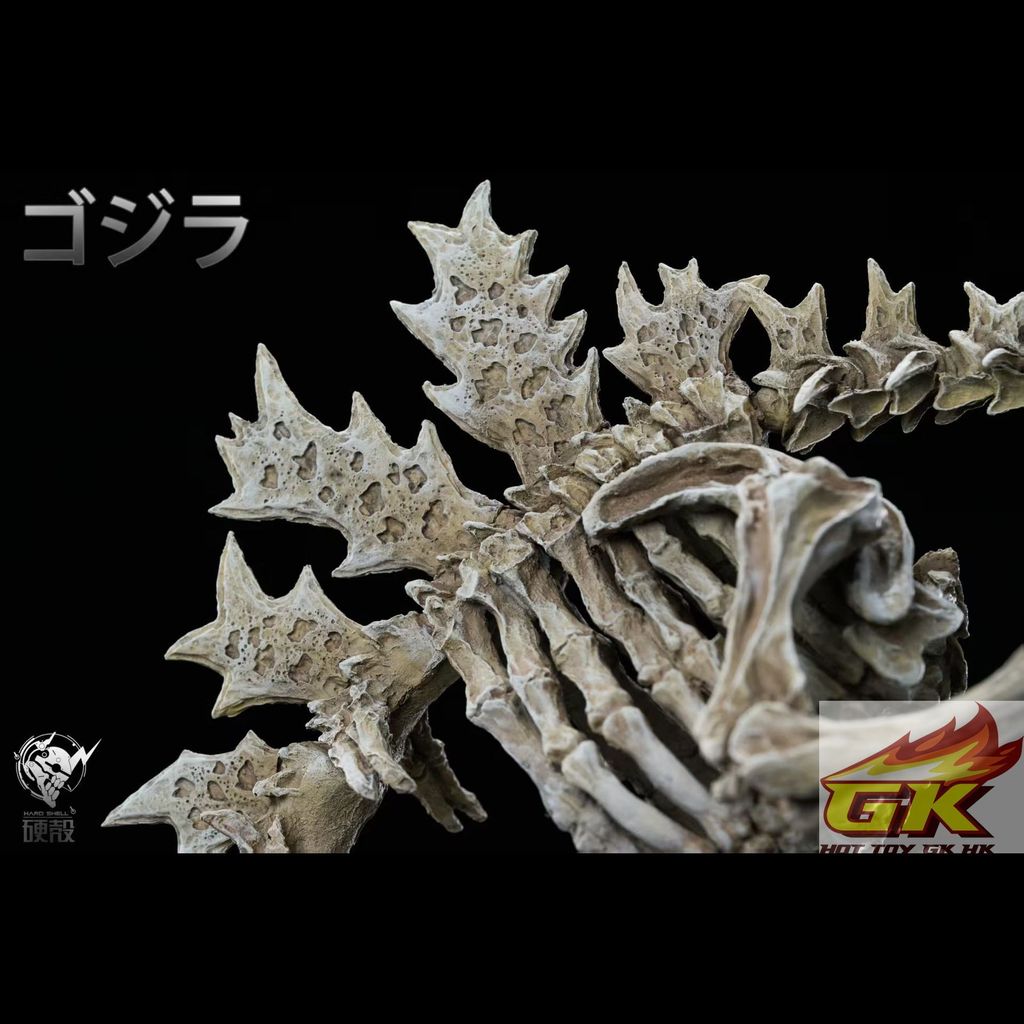 圖片_20251120114245_38_1602_結果