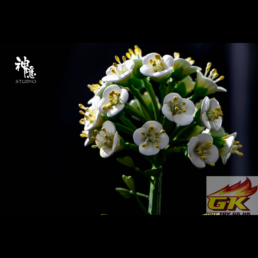 圖片_20260127060633_260_168_結果