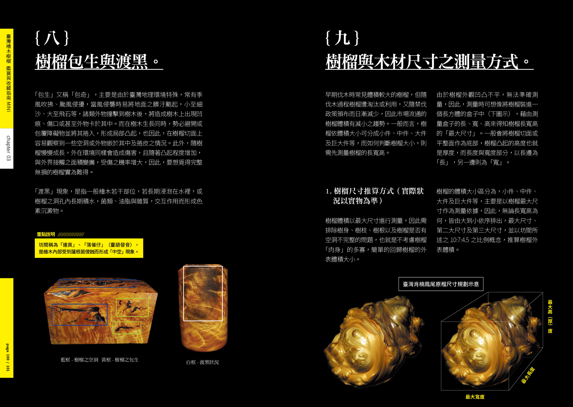 190213 檜木樹榴 200dpi51