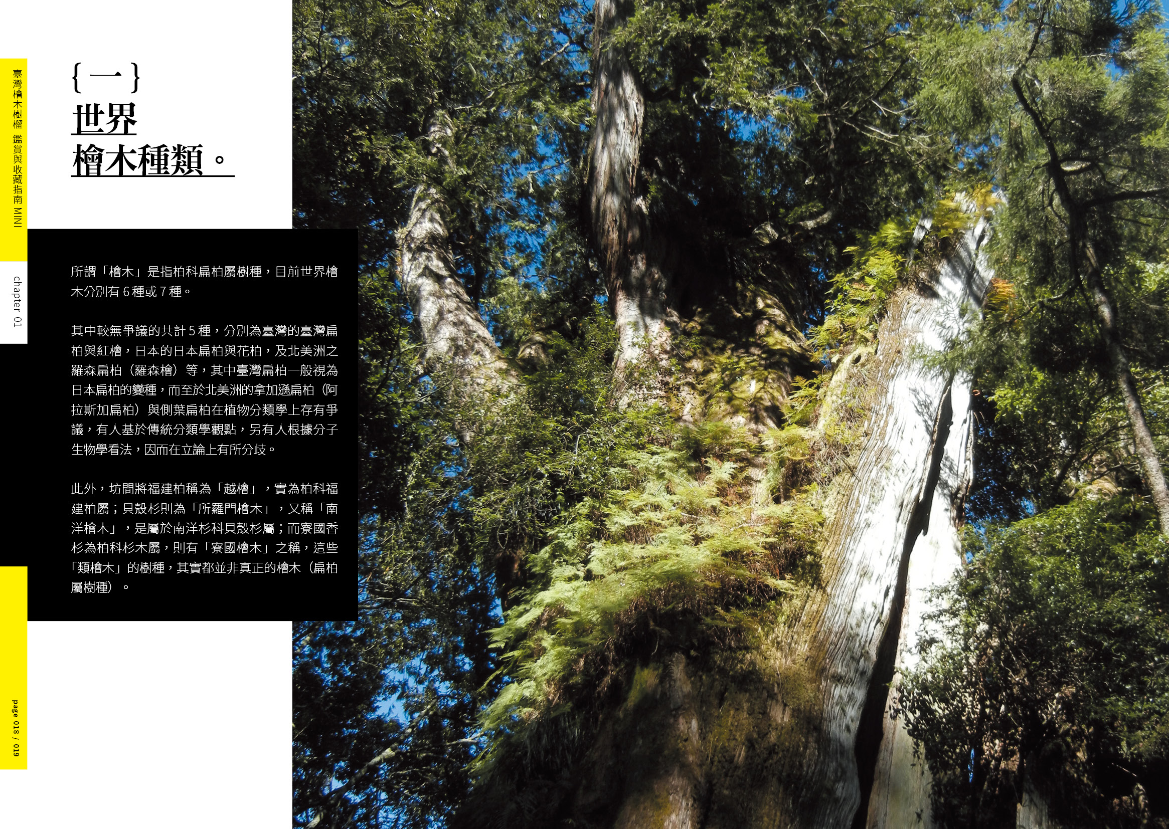 190213 檜木樹榴 200dpi10