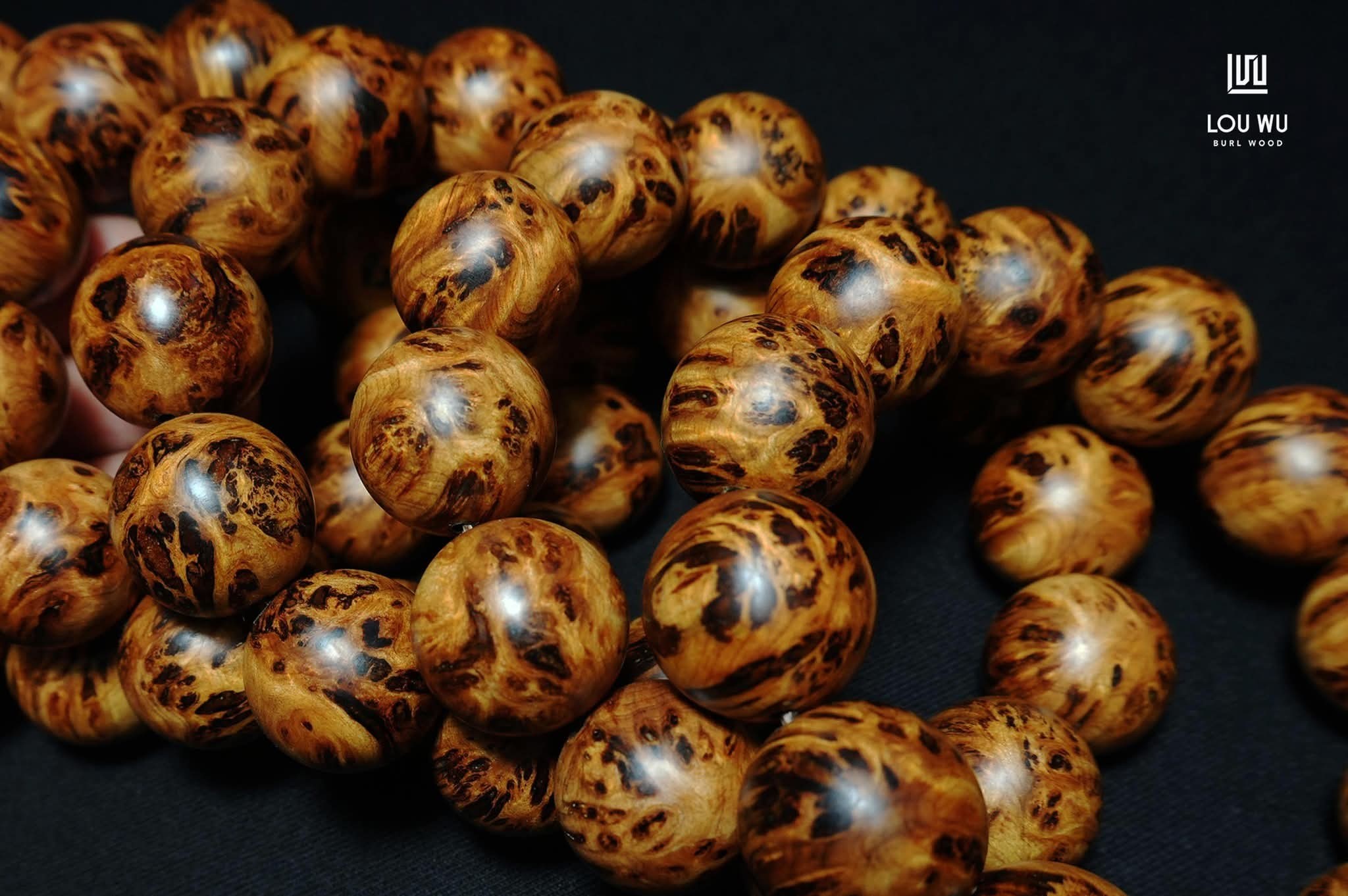 545644273_4194086477501719_9127629017837881457_n