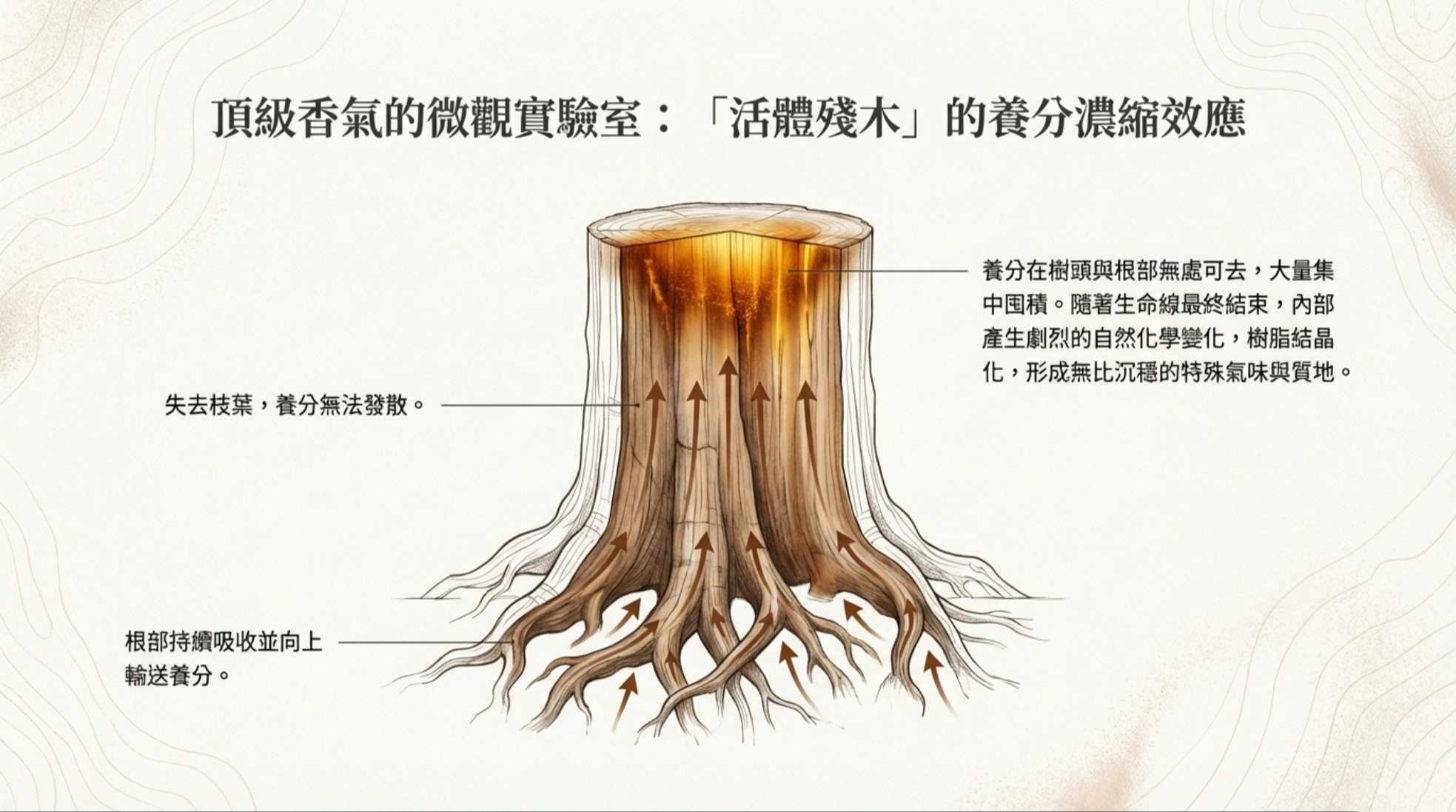 Screenshot_20260329_173321_Gallery