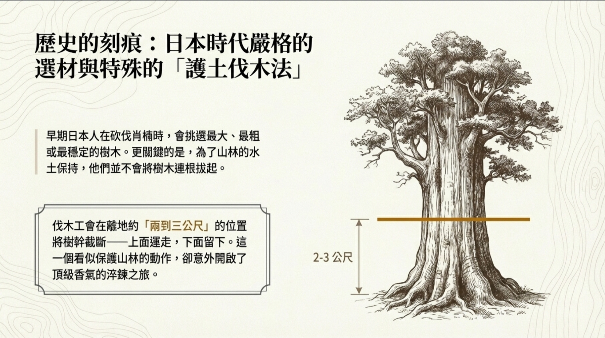 Screenshot_20260329_173250_Gallery