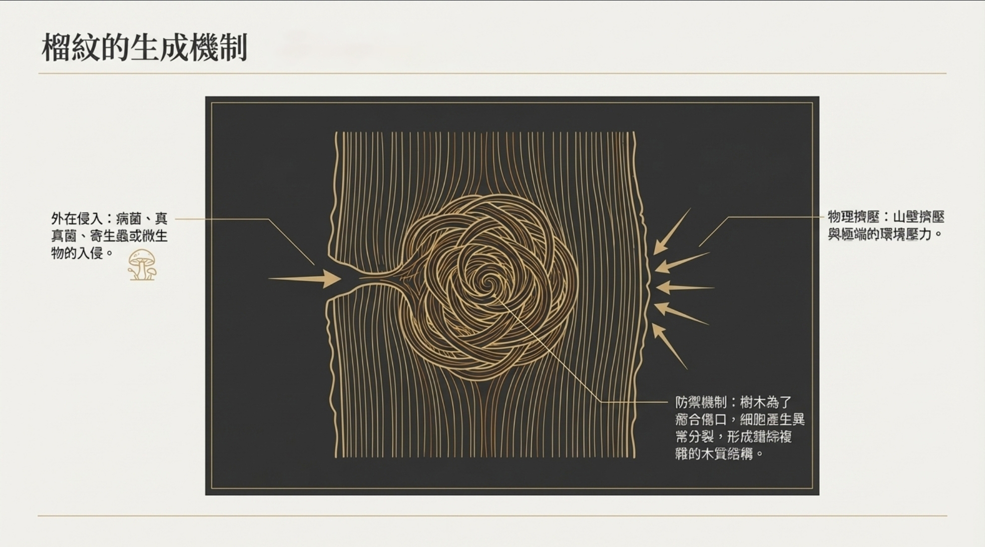 Screenshot_20260330_072639_NotebookLM