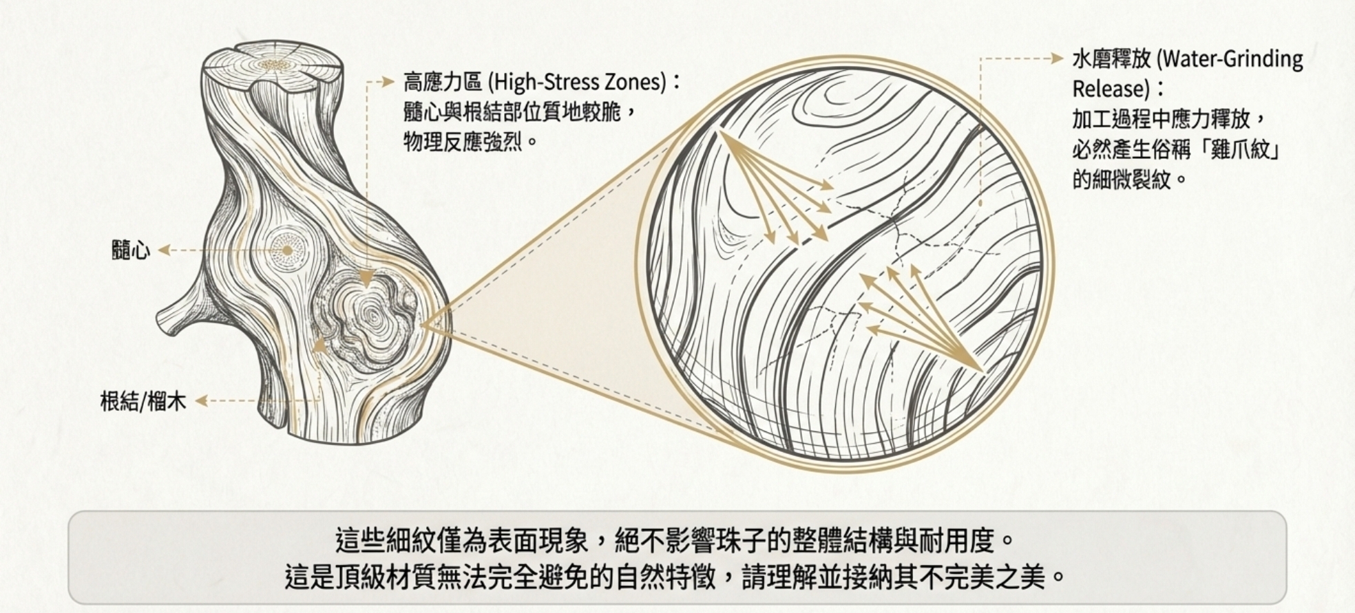 Screenshot_20260402_072724_NotebookLM