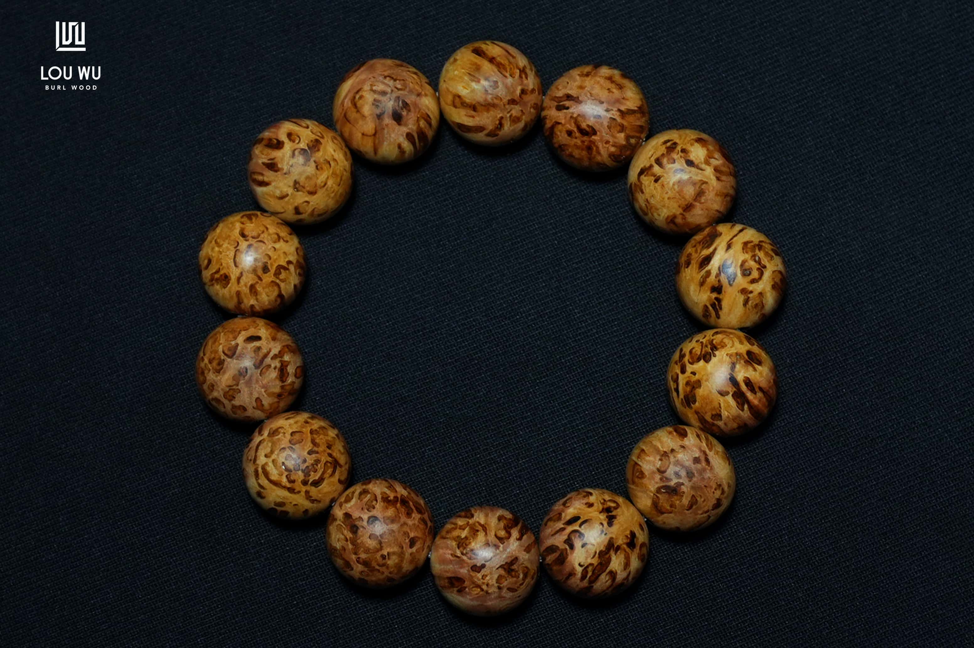 DSC00528