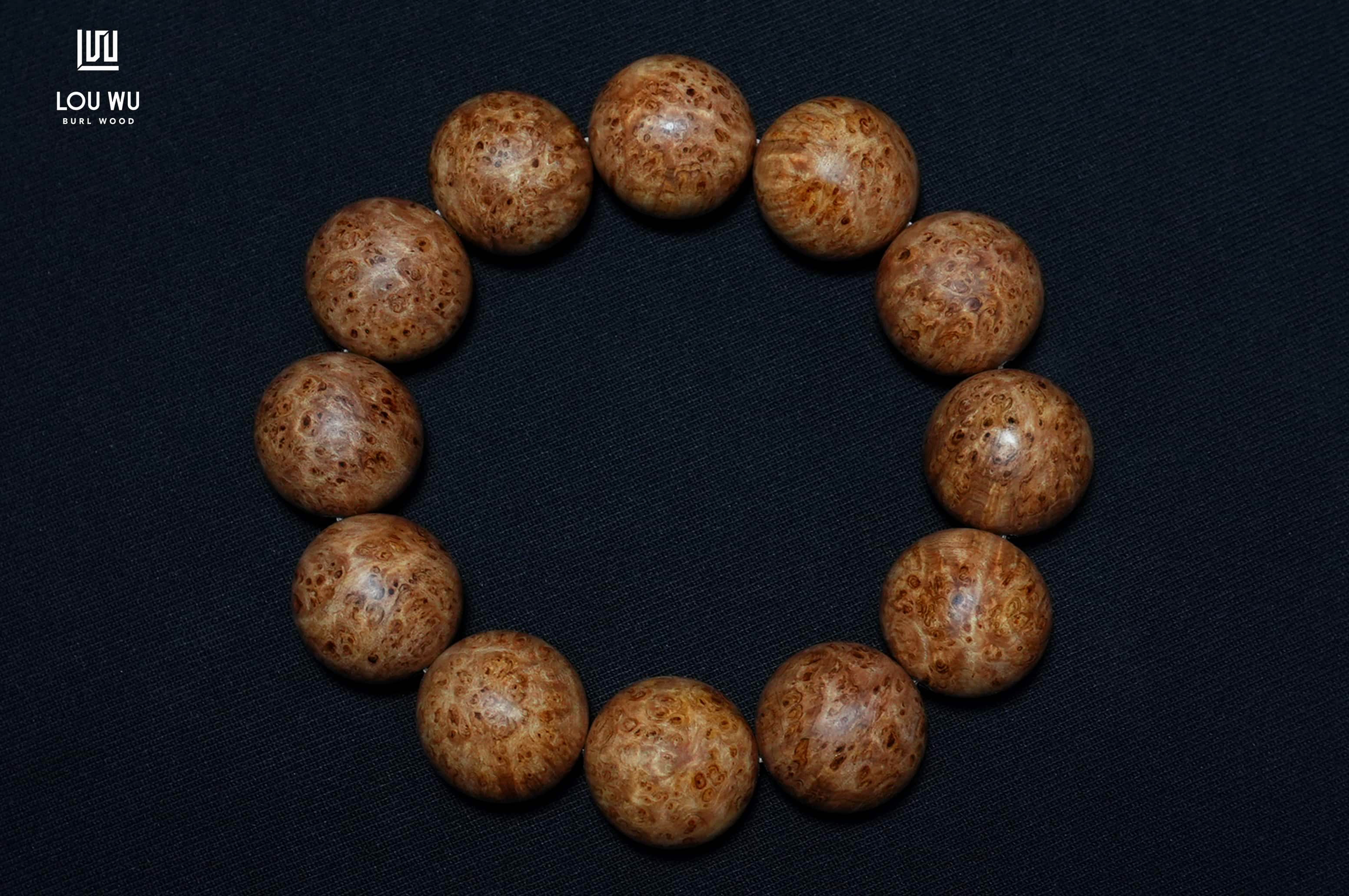 DSC01355