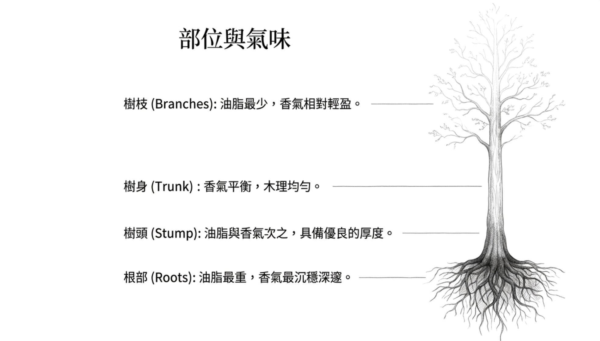 Screenshot_20260720_003440_NotebookLM