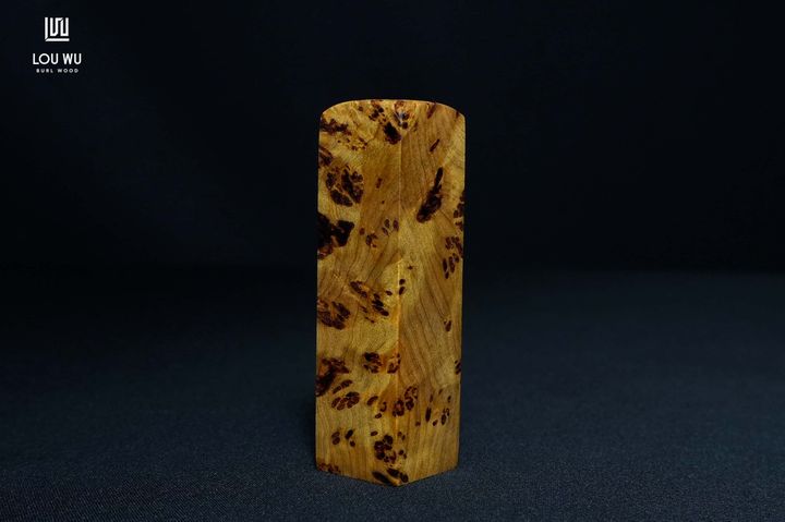 DSC08536