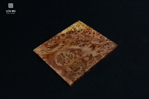 DSC00876