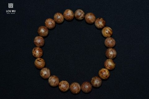 DSC01170
