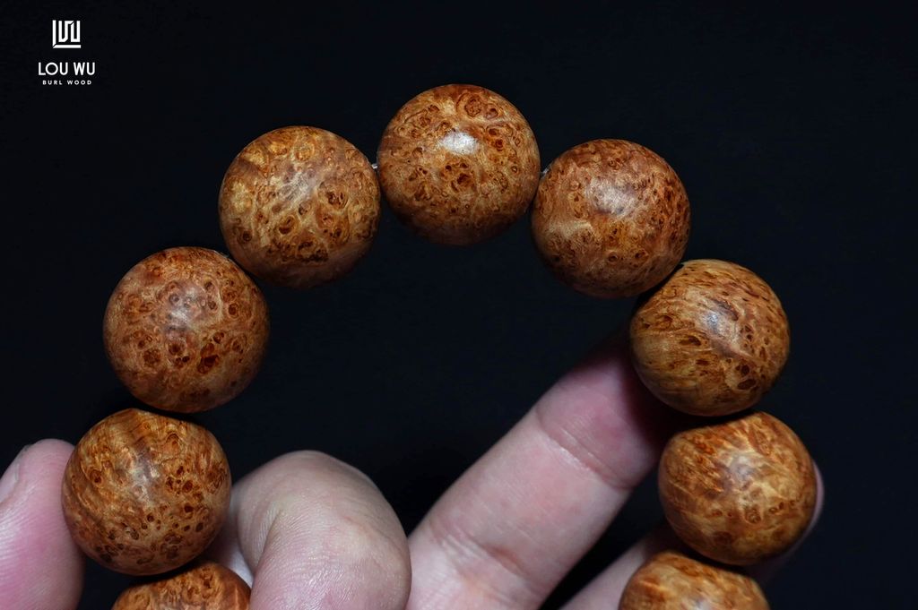 DSC11304