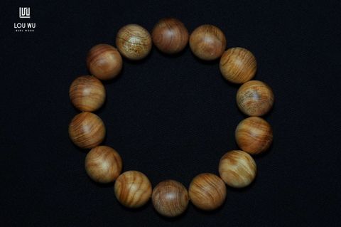 DSC01806