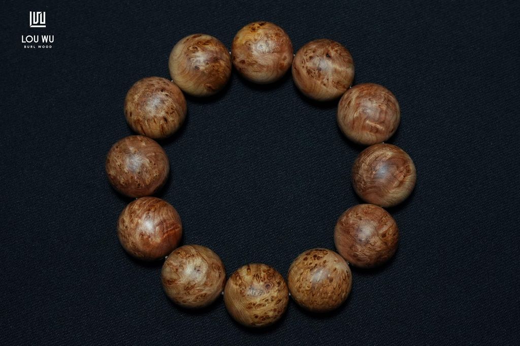 DSC01860