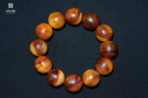 DSC01713