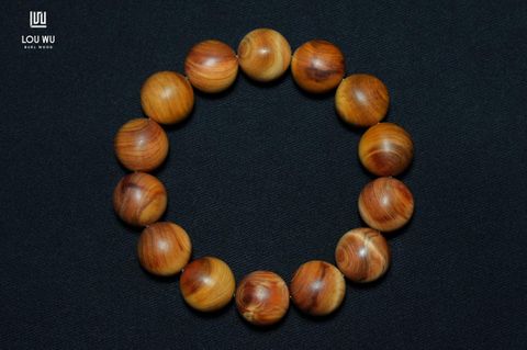DSC01376