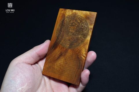 DSC04008