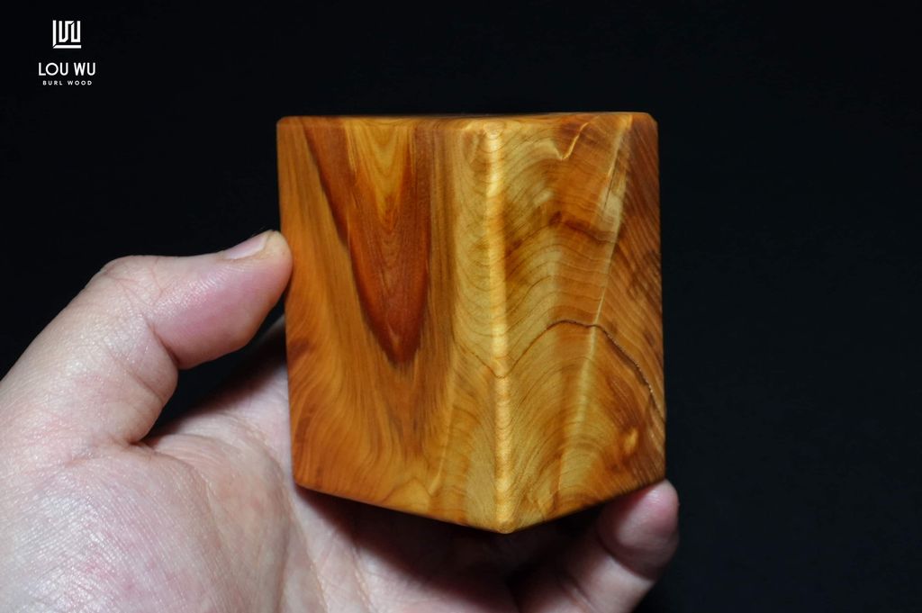 DSC09155