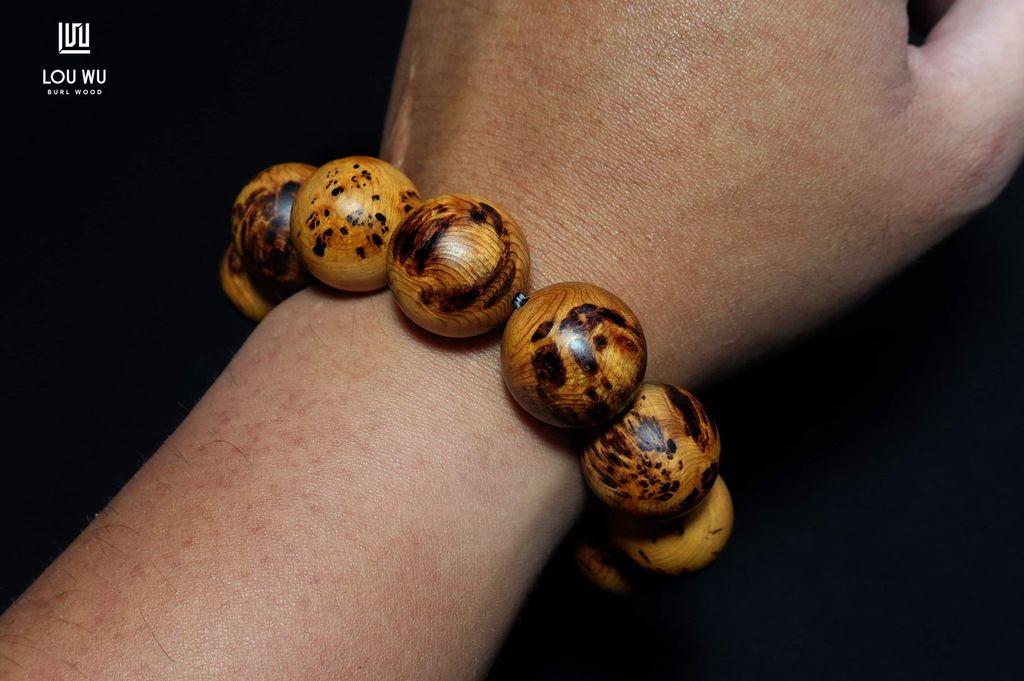 DSC09565