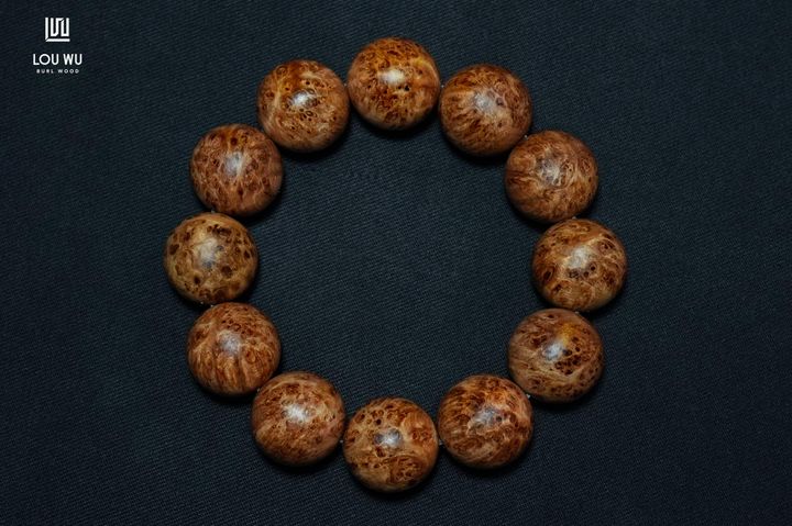 DSC00739