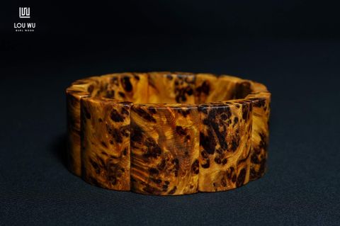 DSC00779