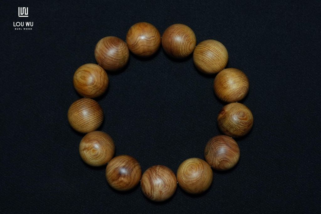 DSC01325