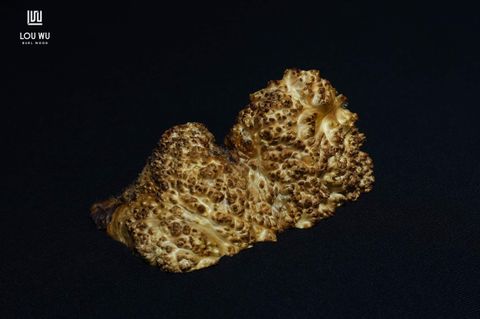 DSC09859