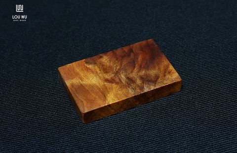 260831_004_DSC01558