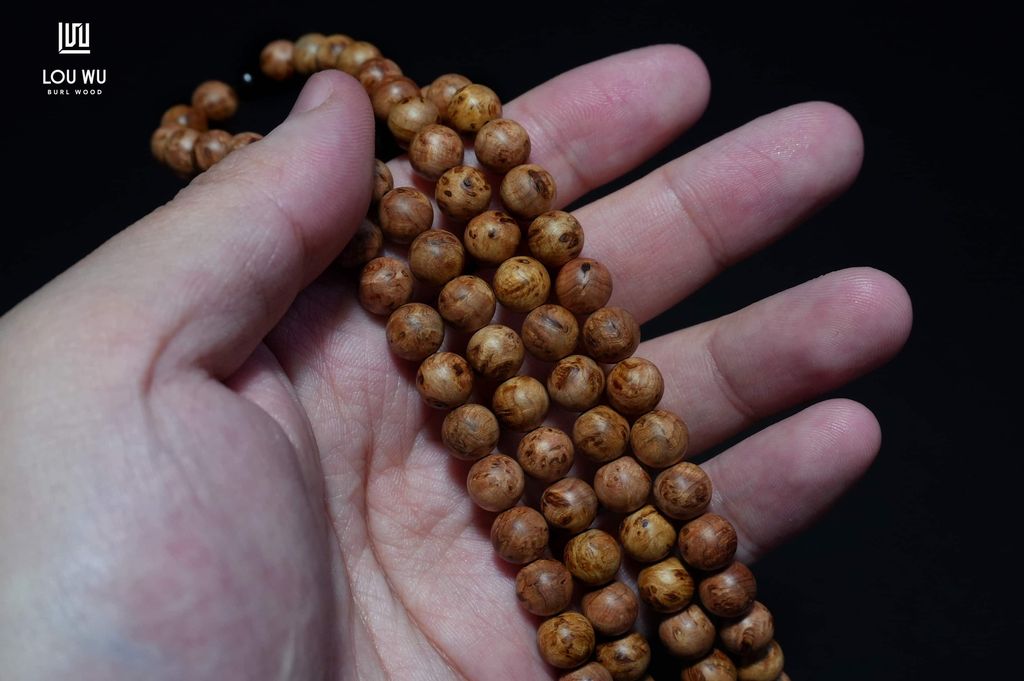 DSC02246