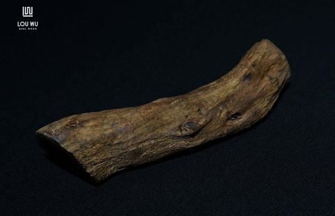 260910_003_DSC03096