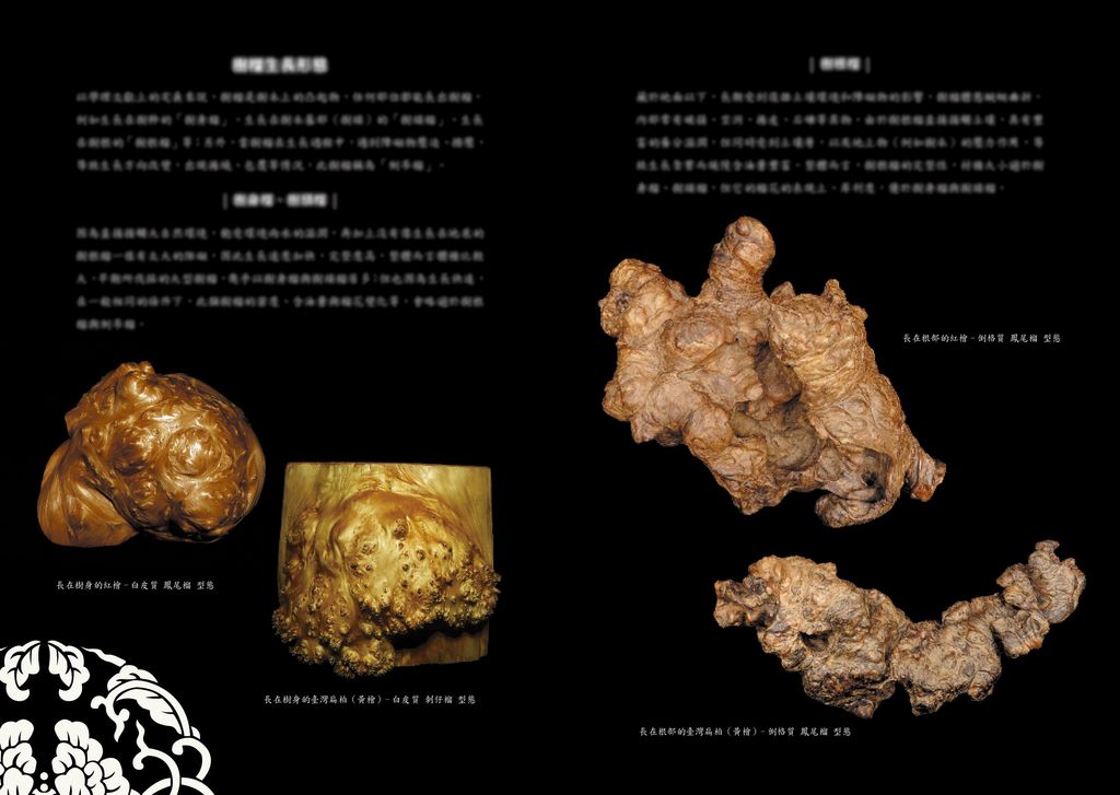 榴木密碼2024032245