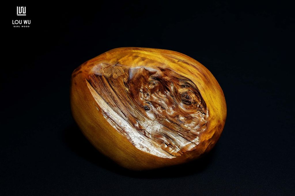 DSC04684