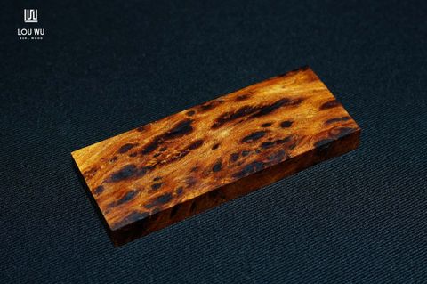 DSC00503