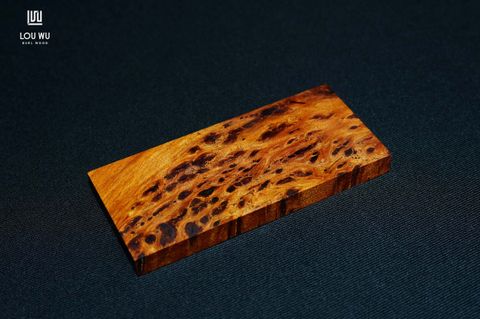 DSC00558