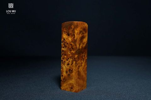 DSC05165