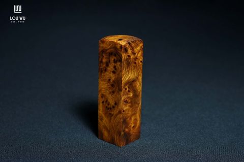DSC05200